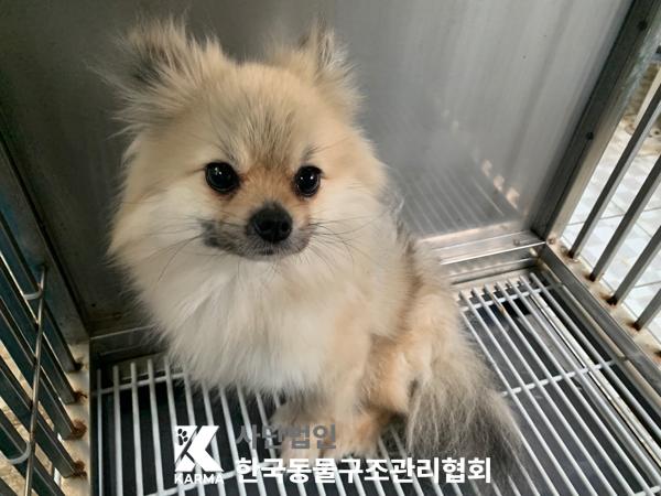 한국동물구조관리협회_411304202500223