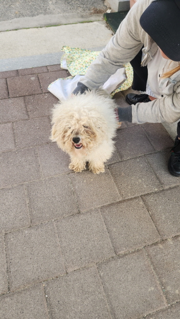 익산유기동물보호소_445468202501372