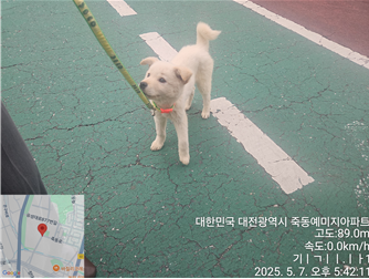대전동물보호센터_430367202500312