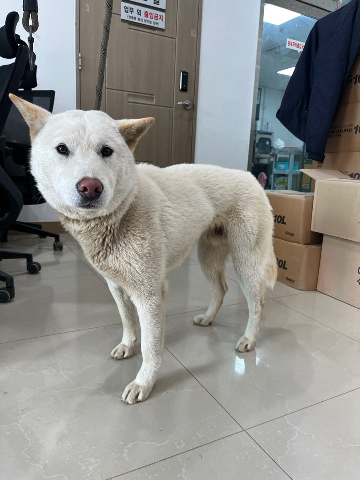 반려동물보호센터_443571202501775