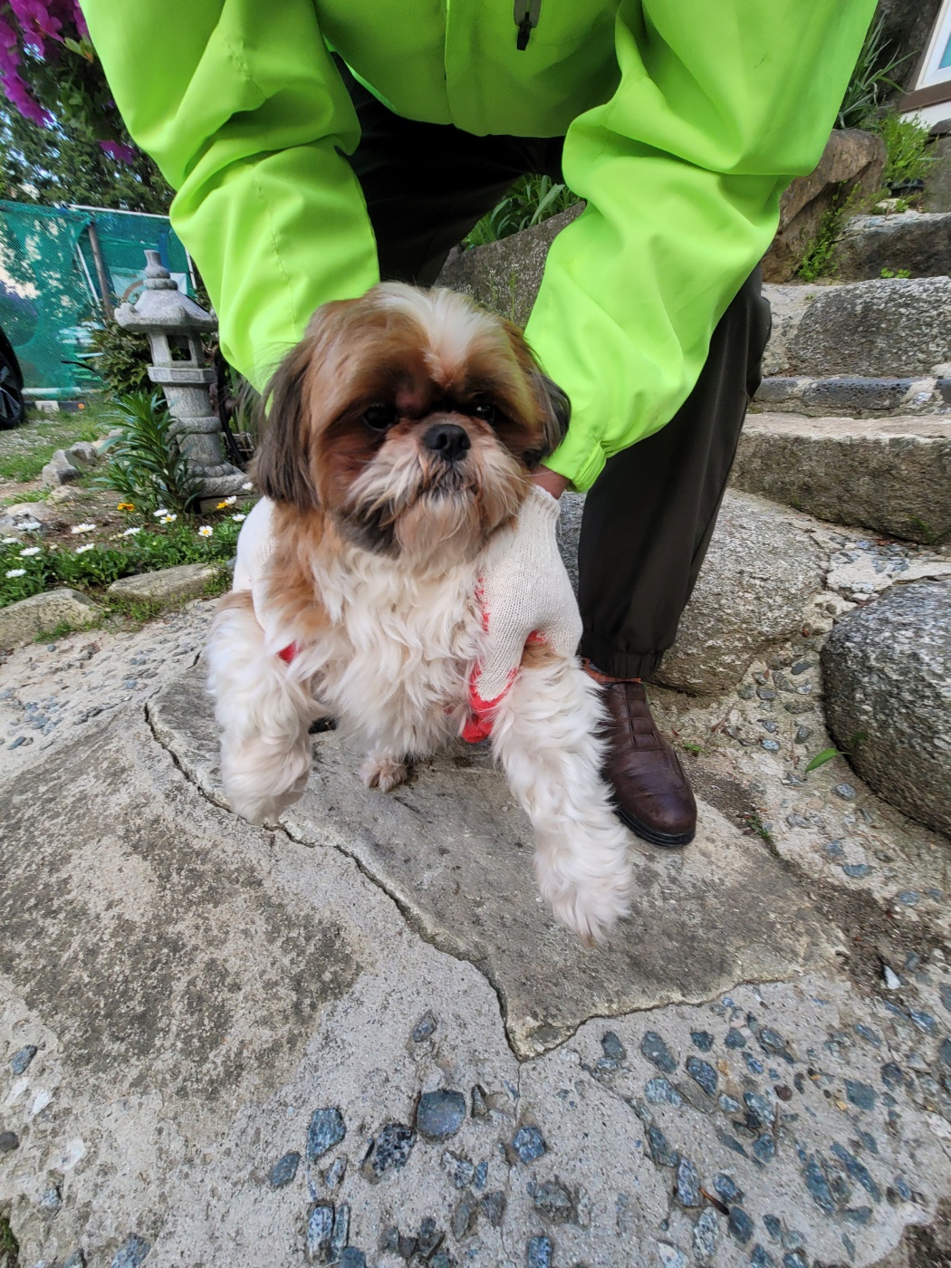 괴산증평동물보호센터_443446202500221