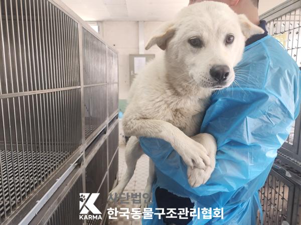 한국동물구조관리협회_411324202500255