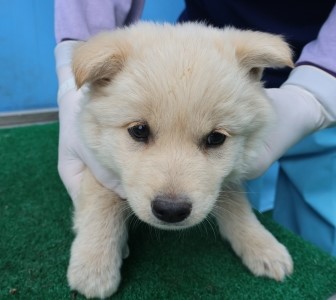 제주 동물보호센터_450650202501073