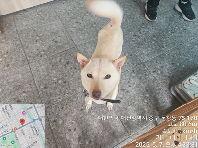 대전동물보호센터_430365202500143