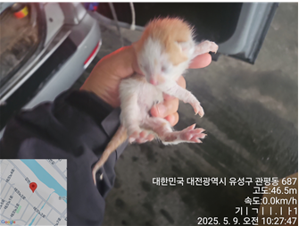 대전동물보호센터_430367202500315