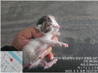 대전동물보호센터_430367202500316