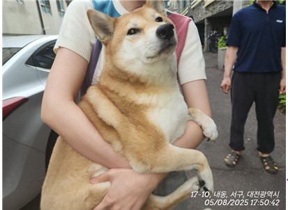 대전동물보호센터_430366202500252