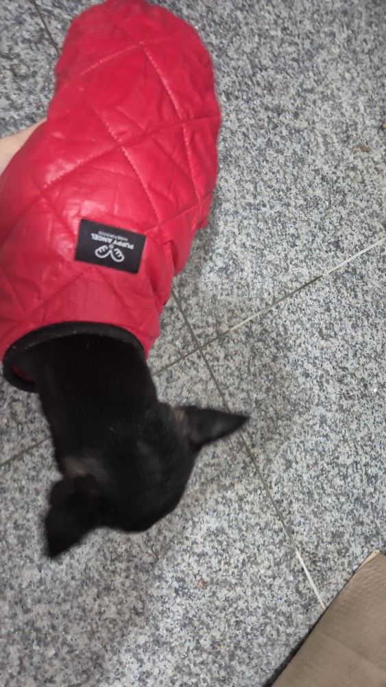 광주동물보호센터_429360202500223