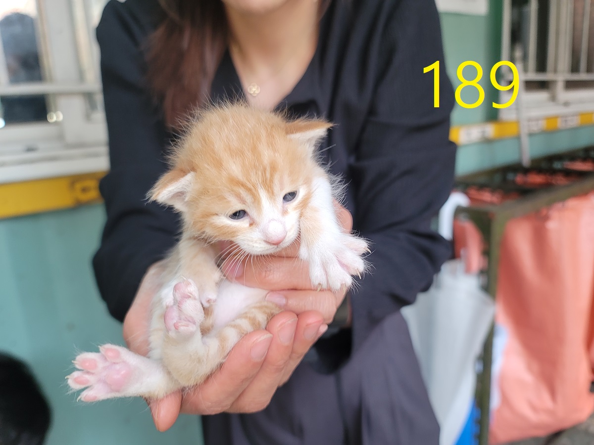 신영재동물병원_428355202500276