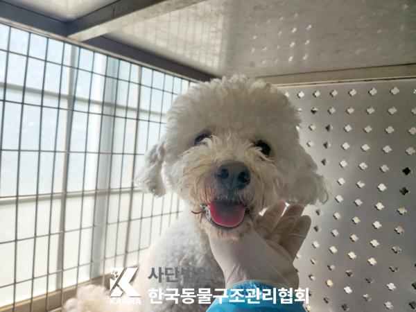 한국동물구조관리협회_411316202500259