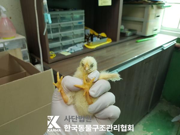 한국동물구조관리협회_411322202500240