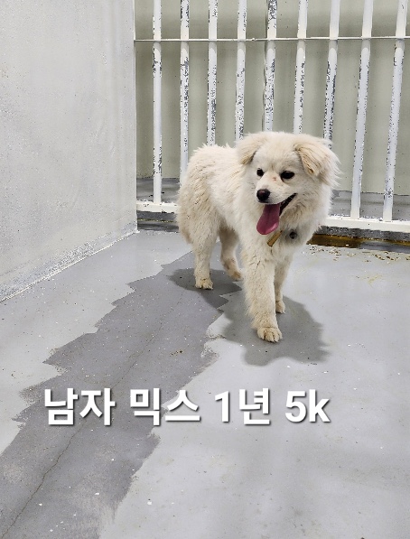 옥천동물병원_443443202500434