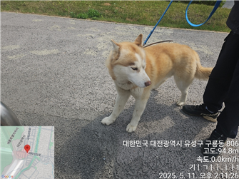 대전동물보호센터_430367202500324