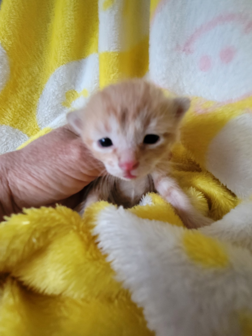 괴산증평동물보호센터_443446202500297