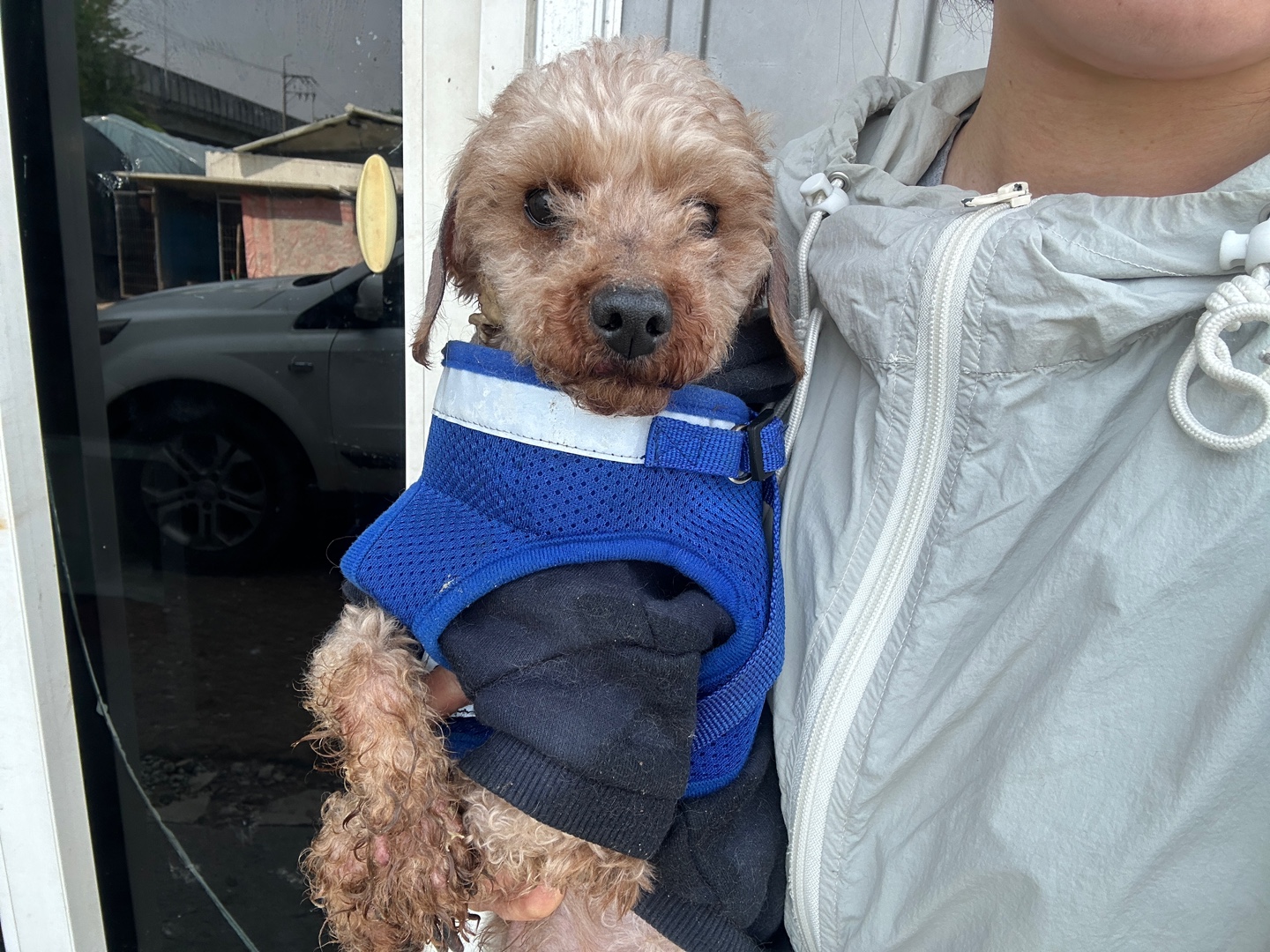 한국야생동물보호협회_441390202500262