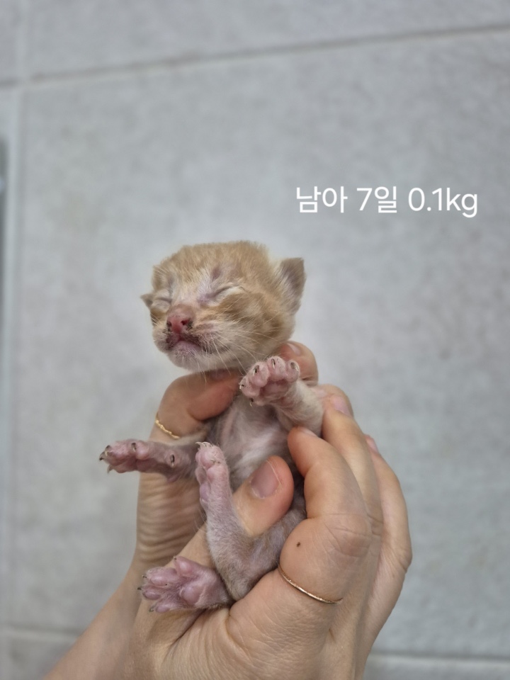 옥천동물병원_443443202500439