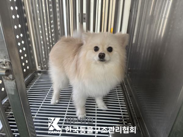 한국동물구조관리협회_411315202500305