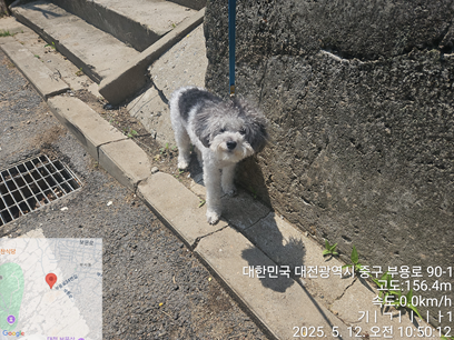 대전동물보호센터_430365202500147