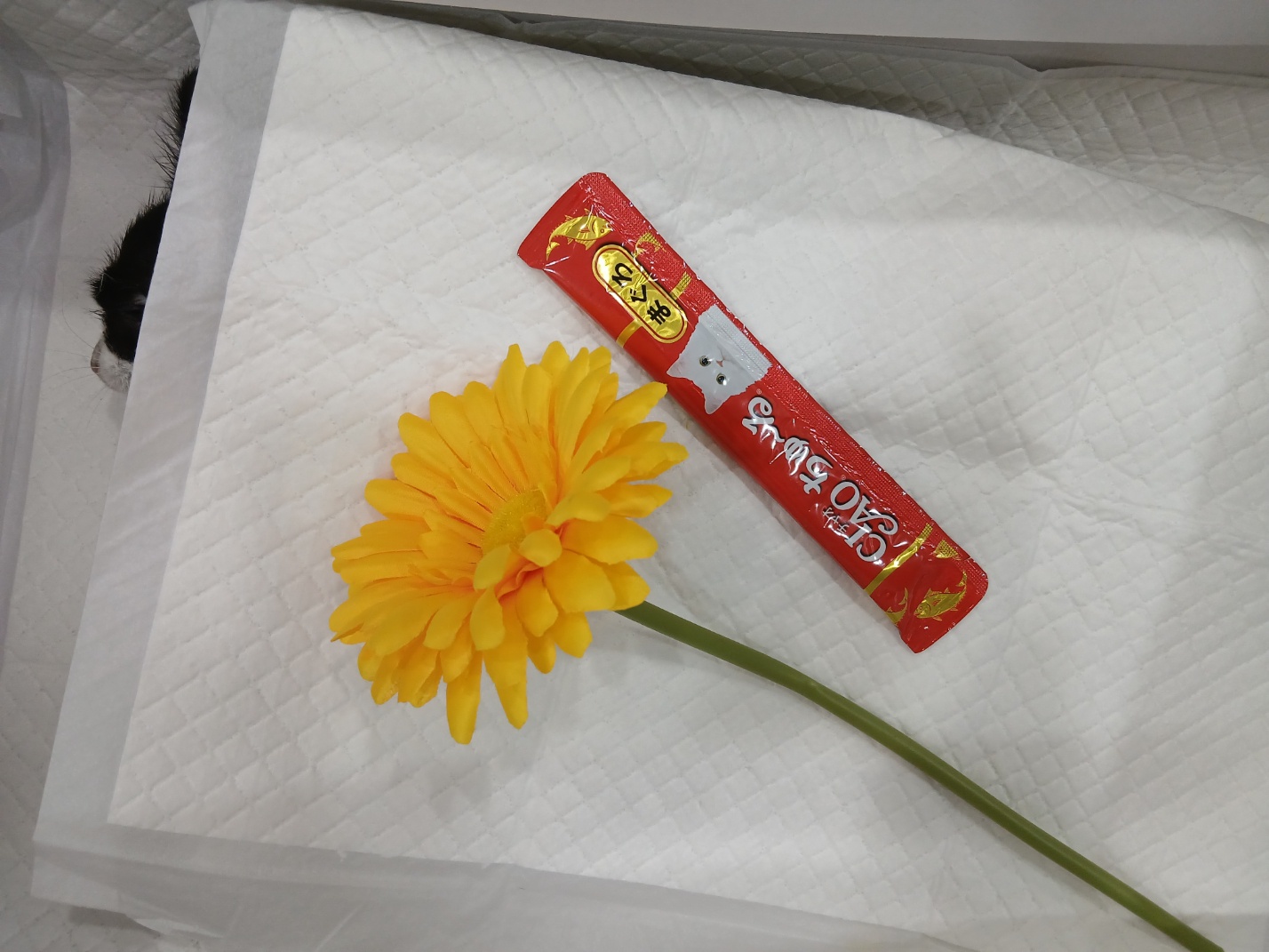 종료(자연사) 한국…