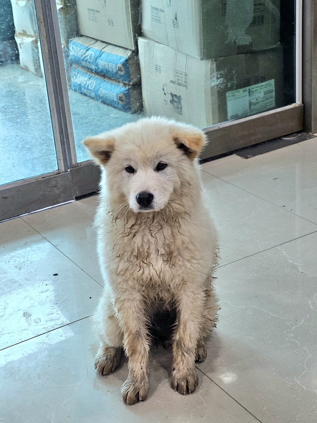 반려동물보호센터_443571202501789