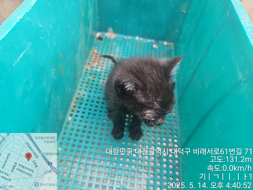 종료(자연사) 한국…