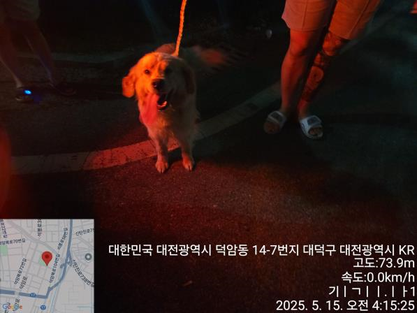 대전동물보호센터_430368202500157