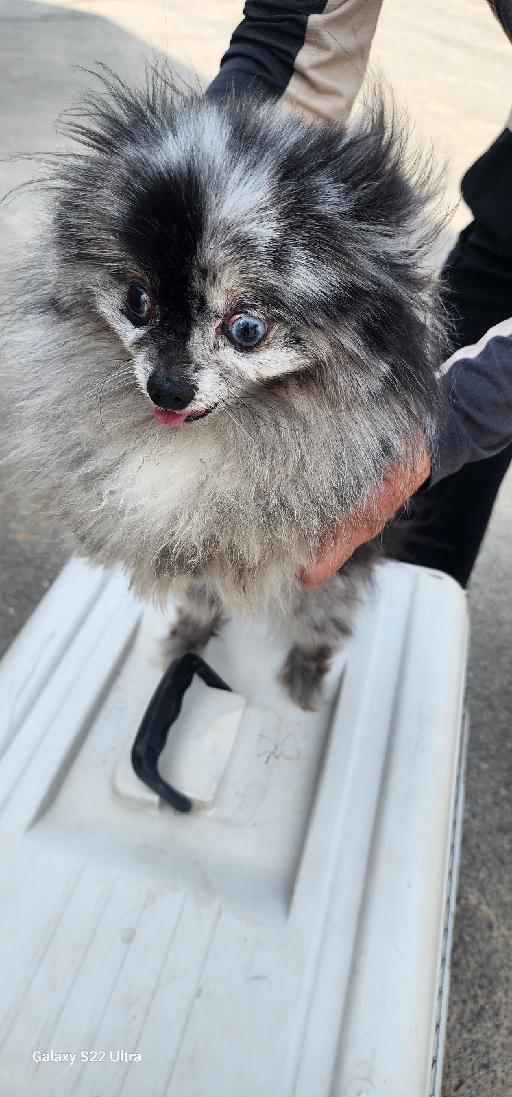 전북말산업복합센터_445471202500216