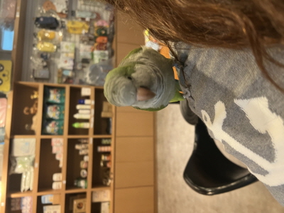 (사)동부동물보호협회_426331202500162