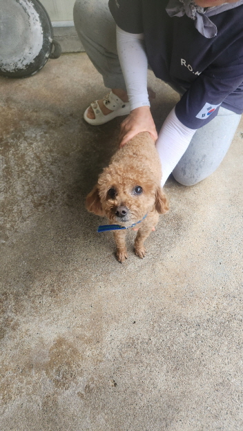 익산유기동물보호소_445468202501537