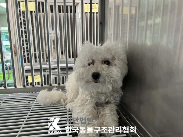 한국동물구조관리협회_411304202500243