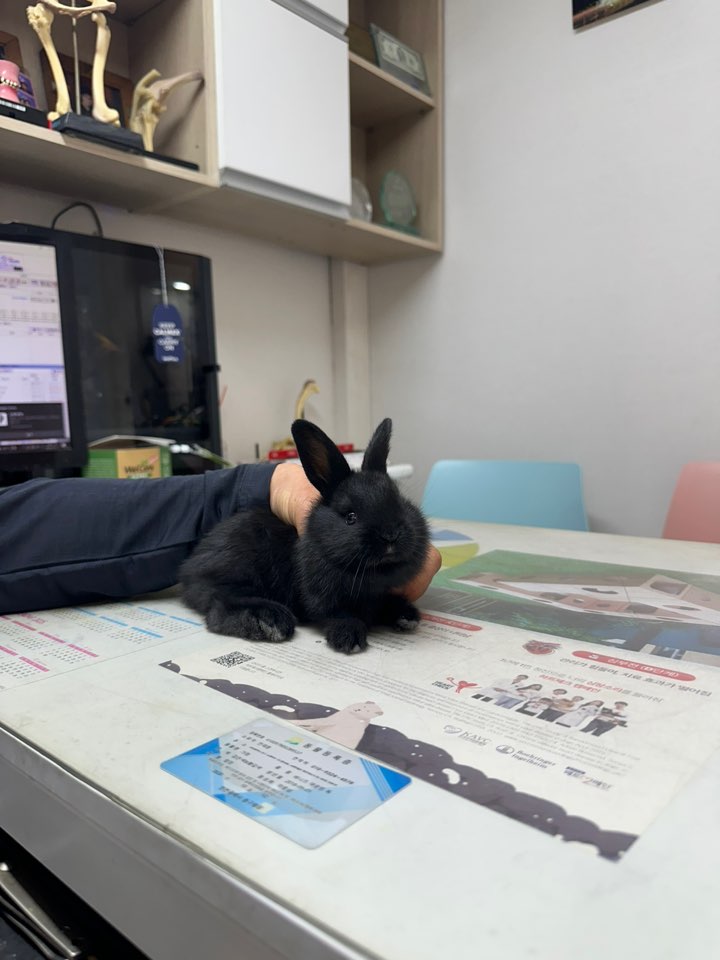 신공항동물병원_428349202500389