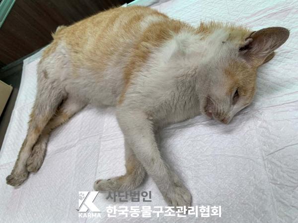 종료(자연사) 한국…