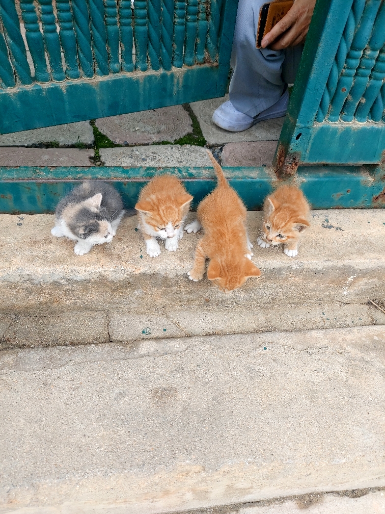 제일동물병원_444455202500319