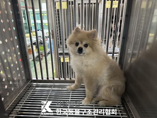한국동물구조관리협회_411304202500244