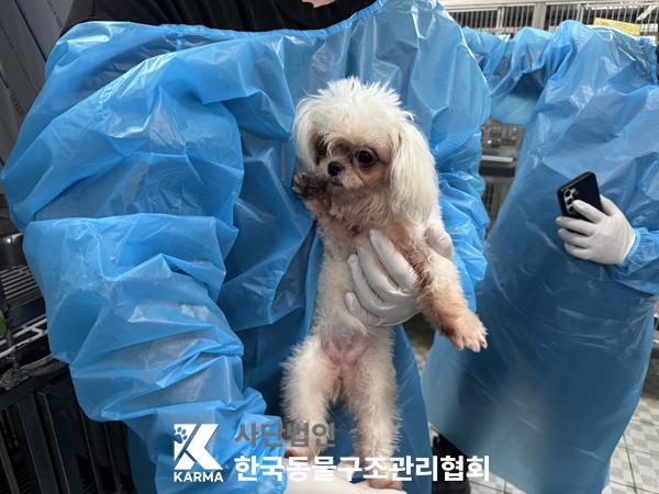 한국동물구조관리협회_411322202500260