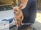 대전동물보호센터_430365202500189