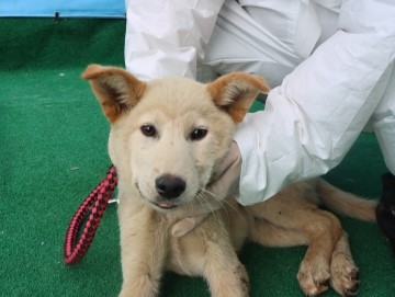 제주 동물보호센터_450650202501172
