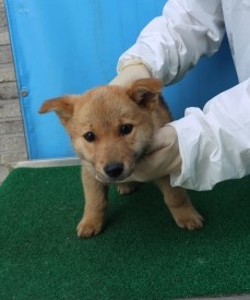 제주 동물보호센터_450650202501186
