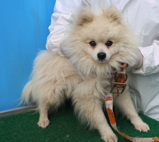 제주 동물보호센터_450650202501218