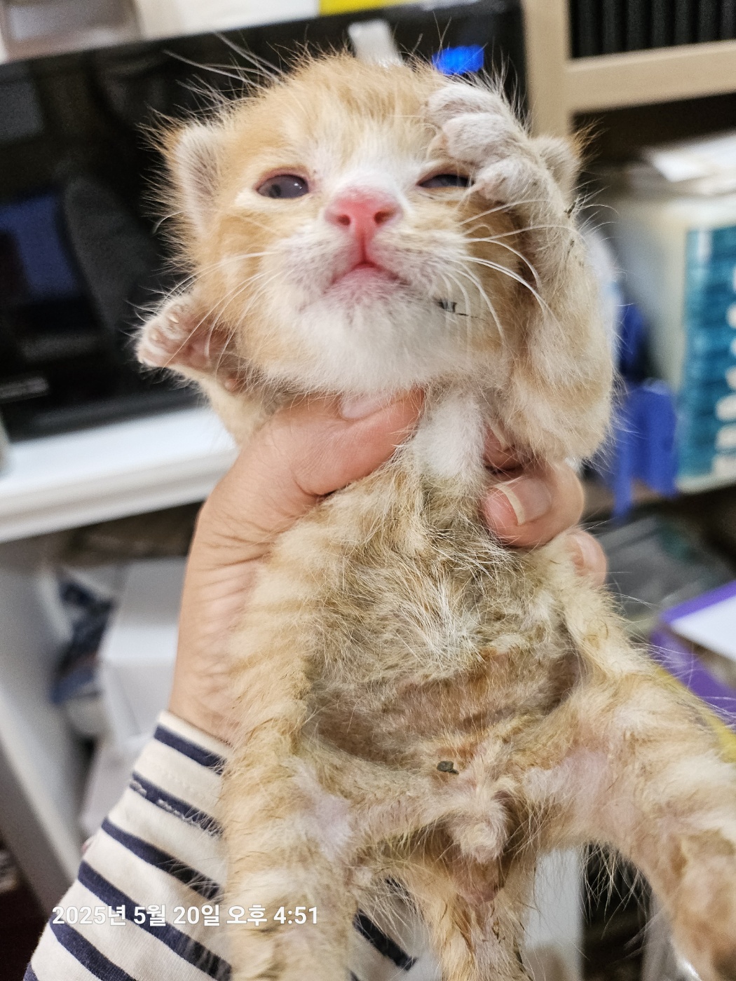 울산유기동물보호센터_431373202500664
