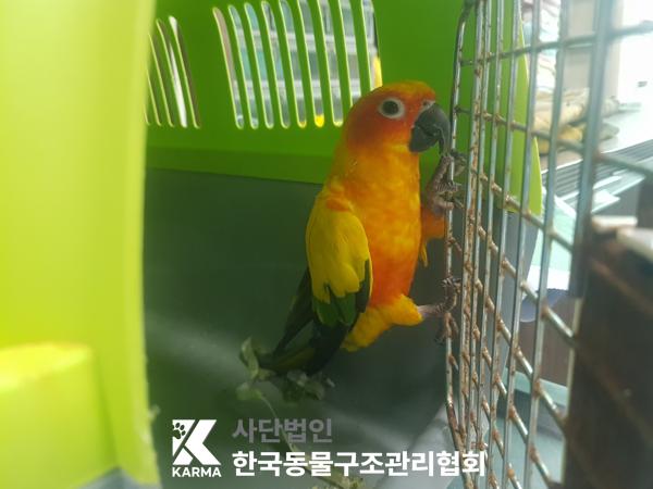 한국동물구조관리협회_441398202500285