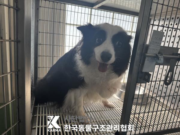 한국동물구조관리협회_411315202500312
