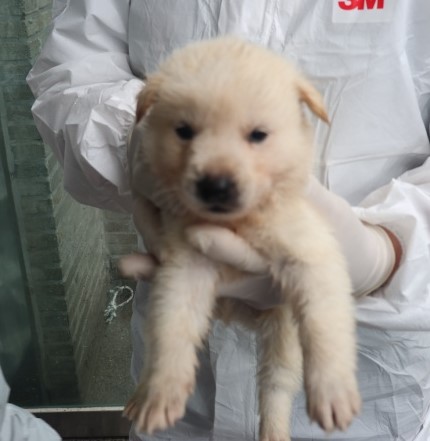 제주 동물보호센터_450650202501239