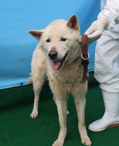 제주 동물보호센터_450650202501243