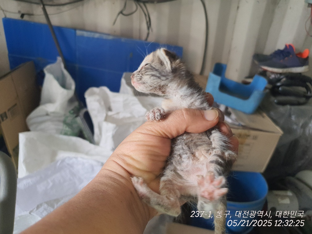 종료(자연사) 기타…