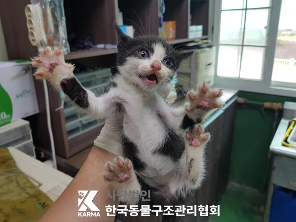 한국동물구조관리협회_411315202500316