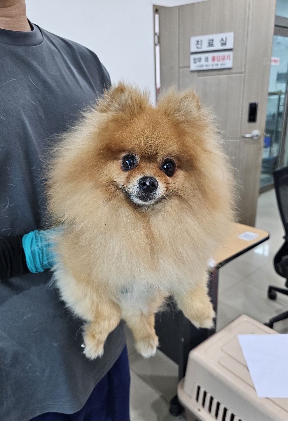 반려동물보호센터_443571202501850