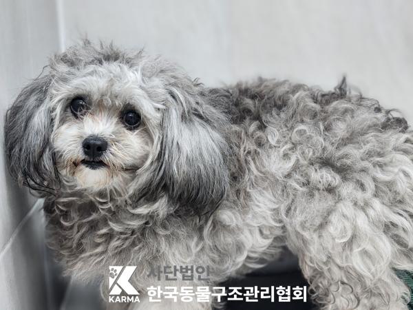한국동물구조관리협회_411310202500403