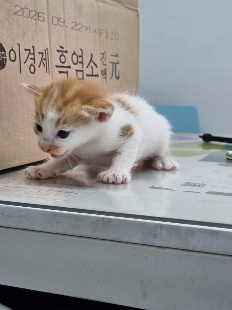 신공항동물병원_428349202500403