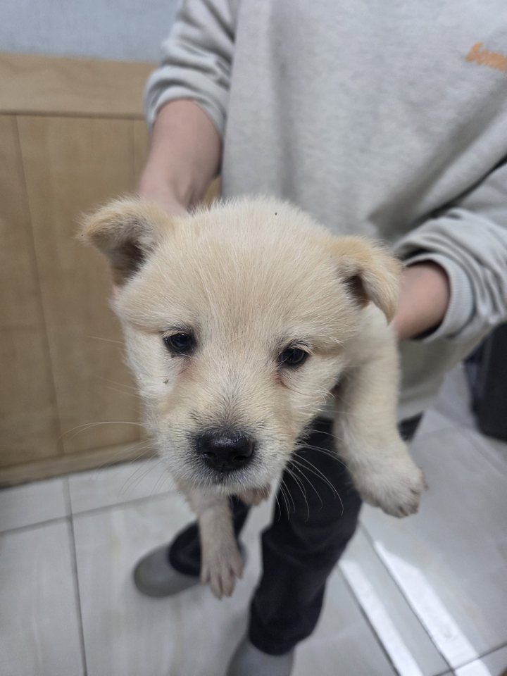 최종주동물병원_443444202500251